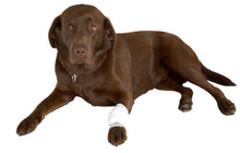 Cargar imagen en el visor de la galería, Vendaje tubular strech blanco, 2.5 cm x 6.5 m (650 cm)