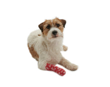 Cargar imagen en el visor de la galería, Vendas Veterinarias Chew-stop (parar De Morder) 5 cm x 4.5m