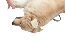 Cargar imagen en el visor de la galería, BUSTER COMPRESA ESTÉRIL P/OTOHEMATOMAS 12 X 8 CM, 10 PAQ.