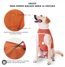 Cargar imagen en el visor de la galería, Body Cobre Original