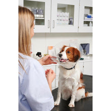 Cargar imagen en el visor de la galería, BUSTER CLIC COLLAR ISABELINO 1/PIEZA