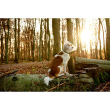 Cargar imagen en el visor de la galería, BUSTER CLIC COLLAR ISABELINO 1/PIEZA