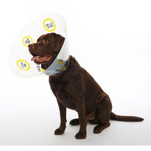 Cargar imagen en el visor de la galería, Collar Isabelino diseño “Under Construction”, 10/paq.