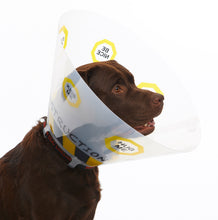 Cargar imagen en el visor de la galería, Collar Isabelino diseño “Under Construction”, 10/paq.