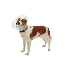 Cargar imagen en el visor de la galería, Collar Isabelino Huesitos, 10/paq.