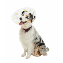 Cargar imagen en el visor de la galería, Collar Isabelino Huesitos, 10/paq.