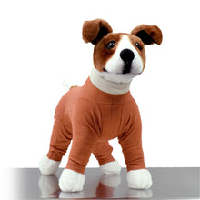 Cargar imagen en el visor de la galería, Body Cobre 4X