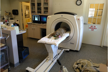 Cargar imagen en el visor de la galería, Tomógrafo Veterinario Claris V