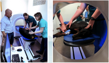 Cargar imagen en el visor de la galería, Tomógrafo Veterinario Claris V