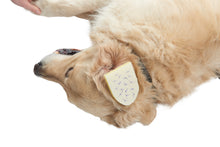 Cargar imagen en el visor de la galería, BUSTER COMPRESA ESTÉRIL P/OTOHEMATOMAS 12 X 8 CM, 10 PAQ.
