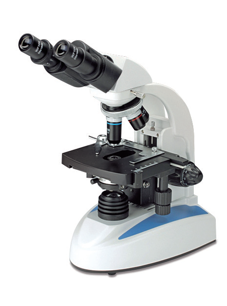 Microscopio Binocular